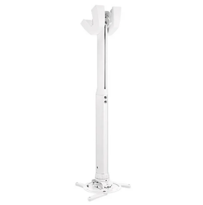 Projector Mounts